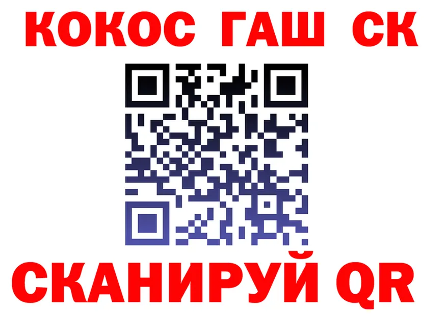 ГАШ Изолятор вход shop МЕГА Благодарный
