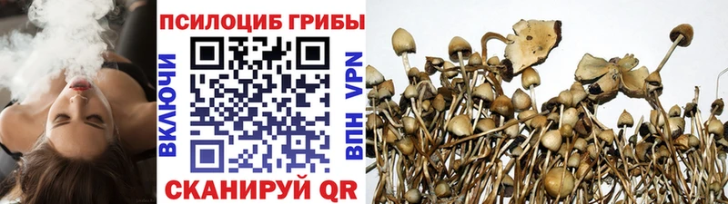 Галлюциногенные грибы Cubensis Благодарный