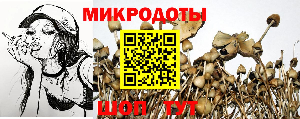 Галлюциногенные грибы Magic Shrooms Благодарный